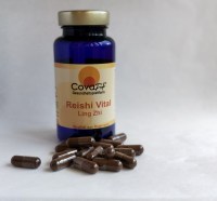 Reishi Vital Ling Zi Vitalpilz